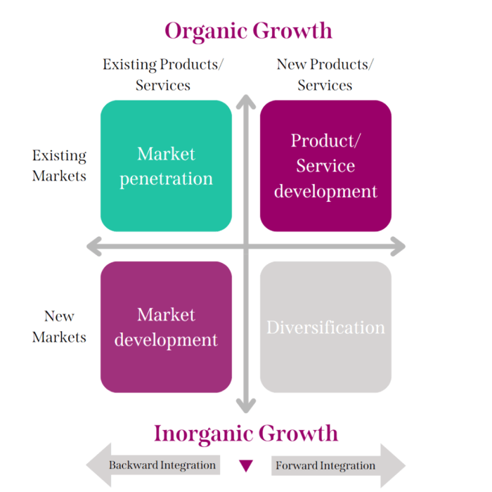 Business growth strategies