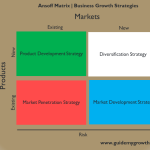 Growth business strategies small