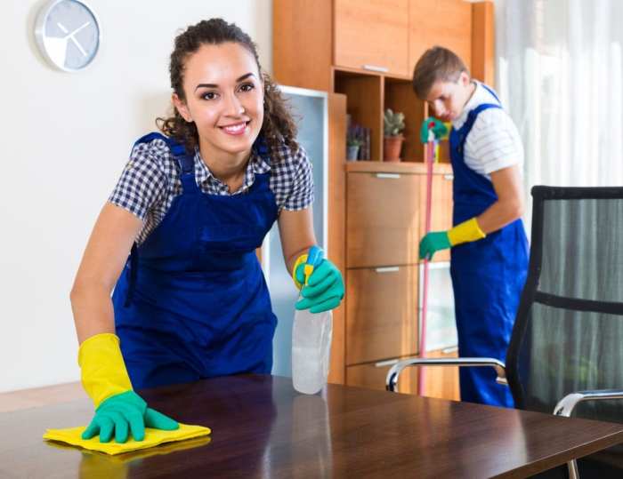 Cleaner cleaning checkatrade factors affecting